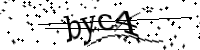 captcha-img